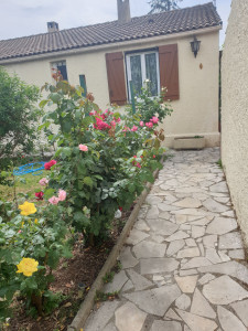 Photo de galerie - Rosiers taillé en mars voici le résultat !




