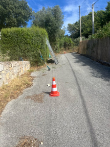 Photo de galerie - Taille de haie 