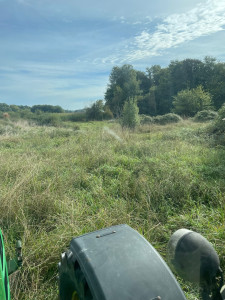 Photo de galerie - Nettoyage de terrain 