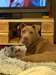 Photo de galerie - J’ai gardé se staff 2 semaine 