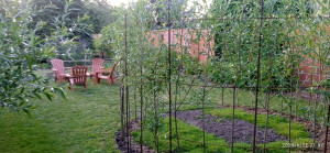 Photo de galerie - Paysagiste - Aménagement du jardin