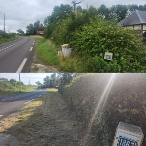 Photo de galerie - Taille de haies