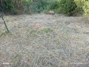 Photo de galerie - Débroussaillage terrain accidenté avec accès difficile
