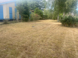 Photo de galerie - Tonte de pelouse sur Linxe ( 40260 )