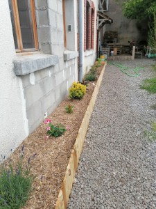 Photo de galerie - Tonte de pelouse - Débroussaillage