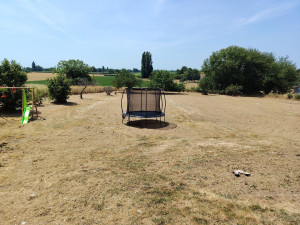 Photo de galerie - Tonte