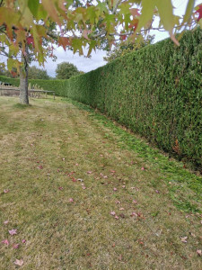 Photo de galerie - Jardinier