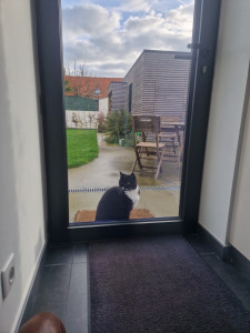 Photo de galerie - Garde chat