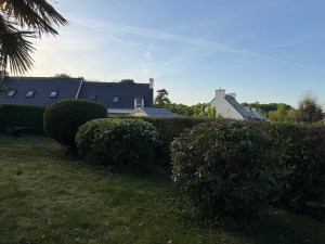 Photo de galerie - Taille de haies et d'arbustes