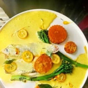 Photo de galerie - Mettre en valeur le loup de Mediterrannée