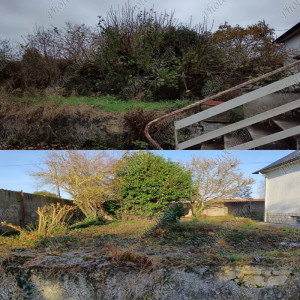 Photo de galerie - Défrichage du terrain