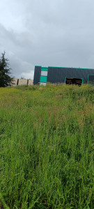 Photo de galerie - Tonte de pelouse - Débroussaillage