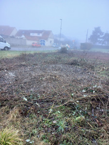 Photo de galerie - Déraciné la souche 