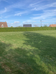 Photo de galerie - Tonte de pelouse 