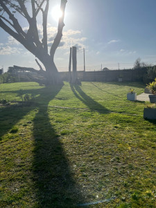 Photo de galerie - Tonte de pelouse