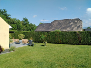 Photo de galerie - Taille d'une haies sur 3 face.