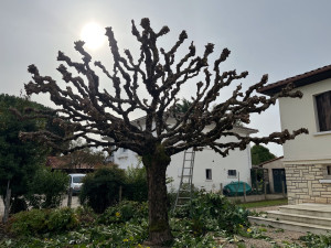 Photo de galerie - Espaces verts