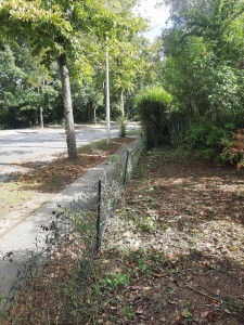 Photo de galerie - Haie retirer 