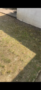 Photo de galerie - Jardinier