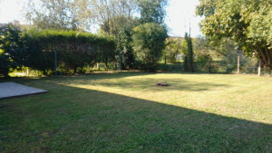 Photo de galerie - Entretien d'un jardin