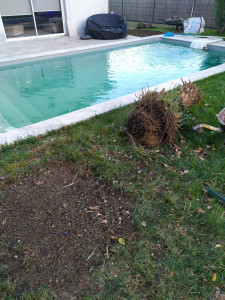 Photo de galerie - Jardinier