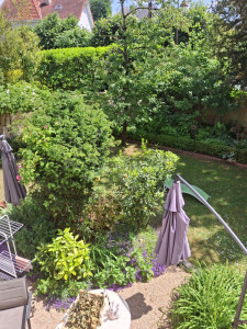 Photo de galerie - Le coin repos caresses câlins 