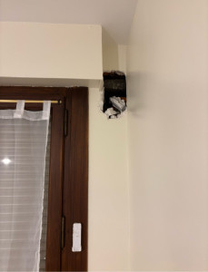 Photo de galerie - Menuiserie - Huisserie - Agencement