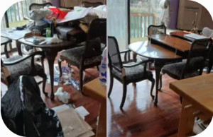 Photo de galerie - Nettoyage et ménage d'un appartement avant et après. 