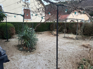 Photo de galerie - Taille et nettoyage d’un jardin