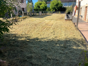 Photo de galerie - Debroussaillage 