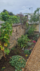 Photo de galerie - ? JO PAYSAGE – Nogent-le-Rotrou et alentours

Vous avez un jardin à entretenir, un massif à aménager ou un extérieur à remettre en état ?

? Contactez-moi au 07 80 88 81 26 pour vos projets et demandes de devis !
