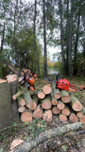 Photo de galerie - Bois de chauffage 