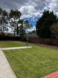 Photo de galerie - Tonte de pelouse - Débroussaillage