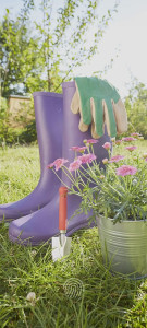 Photo de galerie - Je peux nettoyer le jardin 