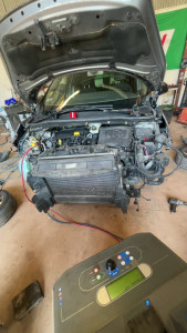 Photo de galerie - Scenic III 