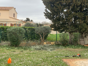 Photo de galerie - Taille de haies et d'arbustes