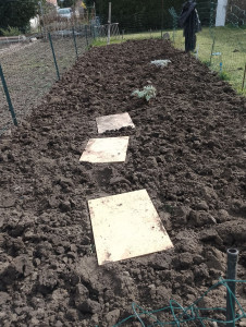 Photo de galerie - Retournage de terrain potager , plantation potager , travailler la terre , coupe de pelouse , haies , 