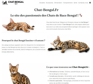 Photo de galerie - Création site internet