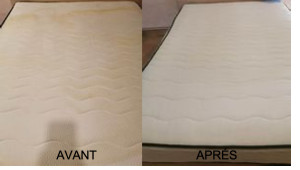 Photo de galerie - Shampouineuse Bissell Spotclean Pro Advanced