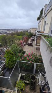 Photo de galerie - Aménagement de terrasse au trocadéro