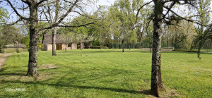 Photo de galerie - Tonte de pelouse - Débroussaillage