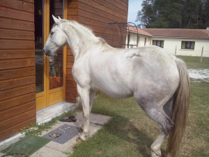 Photo de galerie - Tu fais quoi ? tu viens ! :)