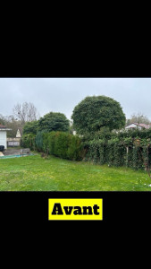 Photo de galerie - Avant 