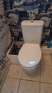 Photo de galerie - Remplacement wc  classique 