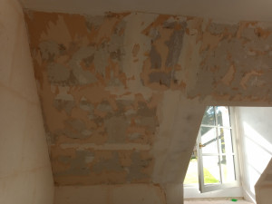 Photo de galerie - Decolage de vieux papier peint préparation avant enduit de lissage