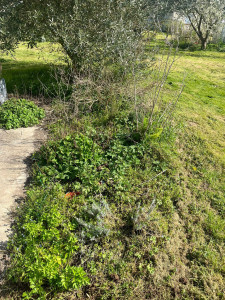 Photo de galerie - Avant 