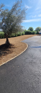 Photo de galerie - Création de pelouse et plantation