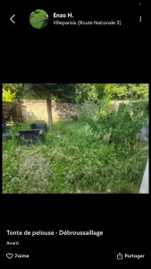 Photo de galerie - Tonte de pelouse - Débroussaillage