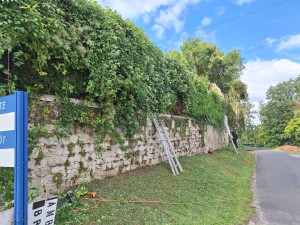 Photo de galerie - Tailles haies