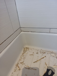 Photo de galerie - Enlèvement  d'ancien  joint  de douche  